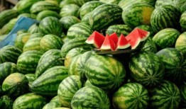 网红吃瓜网官网进入,揭秘娱乐圈最新热点，带你畅游八卦海洋