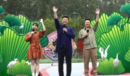 银川酒店爆料视频最新,揭秘奢华背后的惊人真相